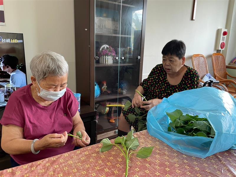 懷舊活動-整理地瓜葉,宜福住宿長照機構